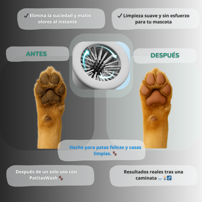 🐶 Patas sucias, no más. ¡PatitasWash al rescate!
